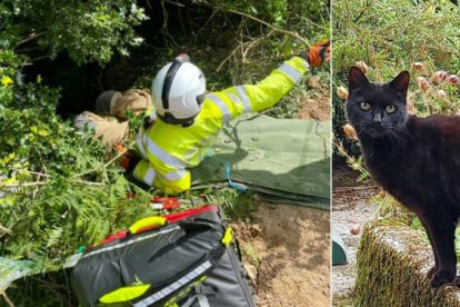 Rescatistas acudieron a salvar a la adulta mayor luego de que el gato mostrara preocupación por ella.