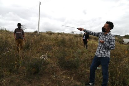 Los agricultores ahora salen 'acompañados' de un machete o un palo para protegerse de los perros.