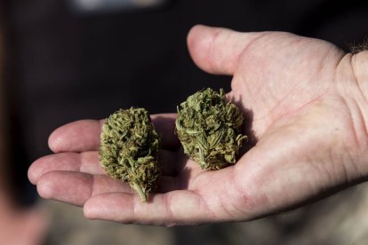 Una pequeña cantidad de esta droga intentó ser introducida en la cárcel de Ibarra por una mujer.