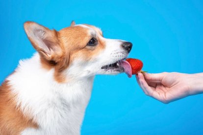 En el mercado existe variedad de opciones. Las frutas son una alternativa natural.