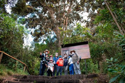 En este bosque se puede disfrutar de caminatas en familia.