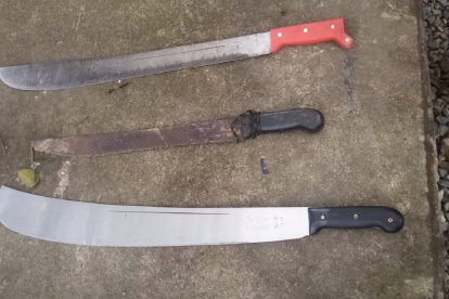 Estas son las armas que utilizaban los individuos durante la pelea.