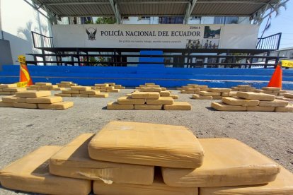 La Policía mostro los paquetes tipo ladrillo con el alcaloide.