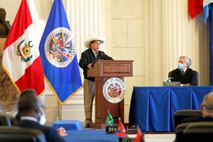 El mandatario peruano, durante su intervención en la OEA.
