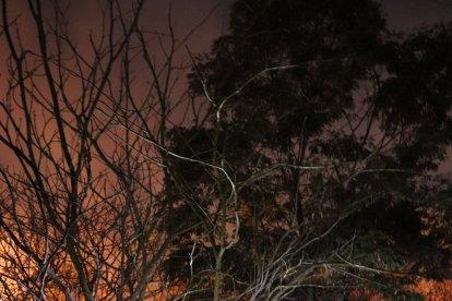 El incendio fue controlado por nueve unidades.