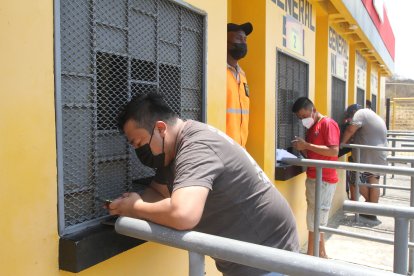 Fanáticos buscan entradas para el partido de Ecuador contra Bolivia.