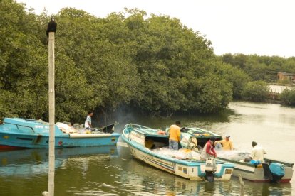 Los pescadores llegan hasta el muelle con diversos mariscos.