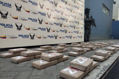 La droga hallada en una casa de la ciudadela Martha de Roldós.