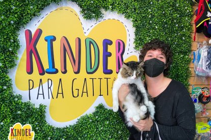 Los pequeños 'alumnos' felinos van al kinder con sus amos o tutores.