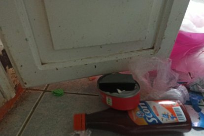 La lata de atún que abrieron para comerse, porque tenían hambre luego de tanto 'trabajo', la dejaron botada en la casa.