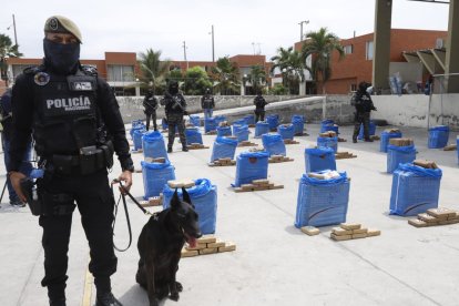 La Policía también informó del decomiso de 83.000 gramos de clorhidrato de cocaína ocultos en el doble fondo de una camioneta en la zona de Baeza.