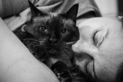 Una mujer viaja con su gatos por Reino Unido.