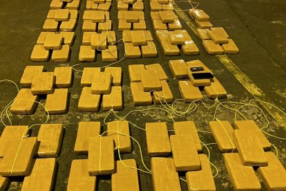 Los paquetes del alcaloide fue ordenado en filas luego de su incautación, por parte de la Policía.