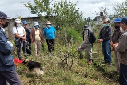 El niño al parecer cayó accidentalmente al agua.