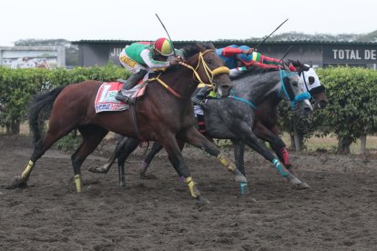 El caballo americano Kifak (i) sorprendió en el tramo final de la carrera y se llevó el trofeo entregado por Diario EXTRA.