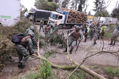 Policías y militares retiraban troncos que obstruían el paso en la vía a Cayambe.