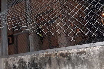 Por este lugar ingresaron los bultos que iban hacia los pabellones.