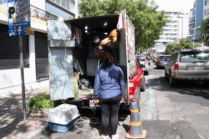 El peluquero de las mascotas se moviliza en una camioneta adecuada para sus labores.