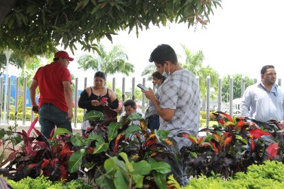 Familiares de Carlos Maldonado, una de las víctimas de la matanza, llegaron a la morgue