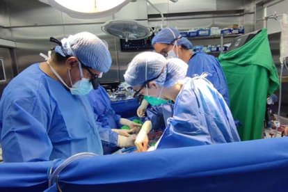 La operación duró 5 horas y fue todo un éxito.