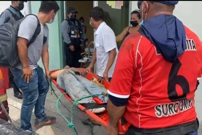 Aún se desconoce qué provocó el siniestro. Autoridades atienden a los sobrevivientes.