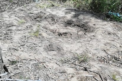 En este lugar fue hallado el cadáver de Nataly Ashqui. Perros habrían escarbado la tierra y puesto al descubierto el crimen.