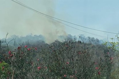 Siniestro. La columna de humo es visible desde ciudadelas aledañas