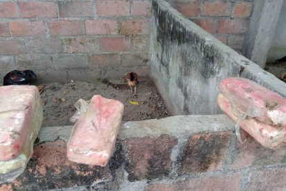 Algunos de los bloques de cocaína que fueron desenterrados de la propiedad.
