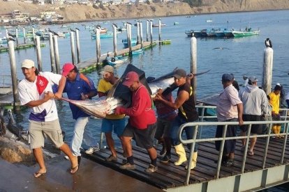 Una de las principales actividades en esta localidad de la provincia de Santa Elena es la pesca.