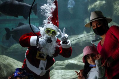 El buzo Miguel Villanueva nada en el acuario vestido de Santa Claus, el 18 de diciembre de 2021, en el Zoológico de Guadalajara
