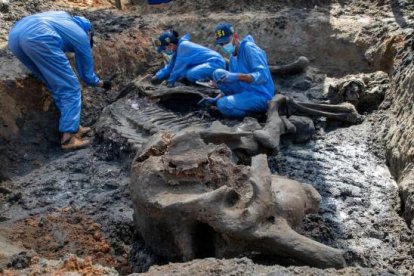 Expertos realizando la exhumación del cadáver de Leydi