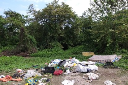 Maniatado, muerto y dentro de un colchón