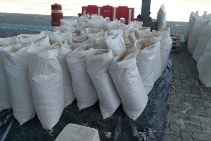 Droga. En el contenedor habían 33 bultos, que al ser revisados contenían más de 800 bloques tipo ladrillo.