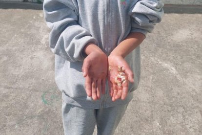 El niño fue obligado a tomar un pedazo de madera incandescente.