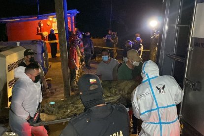 Personal policial, del Cuerpo de Bomberos, Fuerzas Armadas y cuatro guías se dividieron para el rastreo.