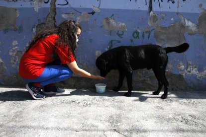 Jannet González alimenta a los animalitos de la calle que se cruzan por su camino. Quiere que sus vecinos también los cuiden.