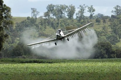 Las fumigaciones con el letal insecticida para erradicar