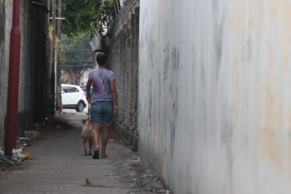Levantaron muros y colocaron cadenas en las peatonales de 3 manzanas Otros rechazan la acción para no perder la libertad Piden atención a los concejales.