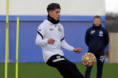 Jeremy Sarmiento se alista para volver a jugar con el Brighton de Inglaterra.