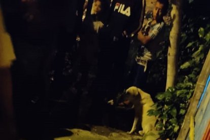 Policía indaga que la víctima habría sido amenazada.