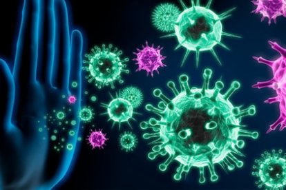 La inmunidad innata puede ser la clave para encontrar la cura para el coronavirus.