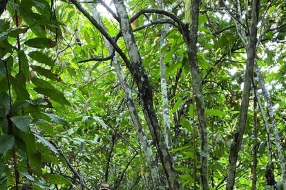 La Policía busca datos para esclarecer las causas de este doble asesinato.