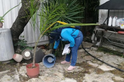 Se investiga posible caso de verruga peruana en Guayaquil.