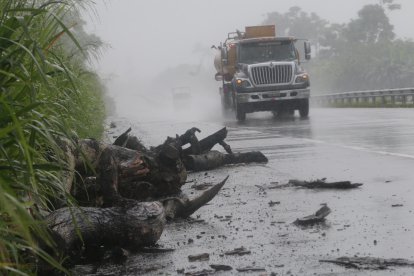 En una de las modalidades de robo, los delincuentes colocan troncos en la vía para bloquear el paso de los camiones.