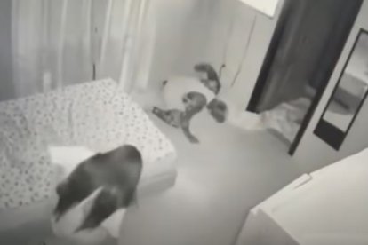 Captura del video en el que aparentemente había un ser extraño en la habitación.