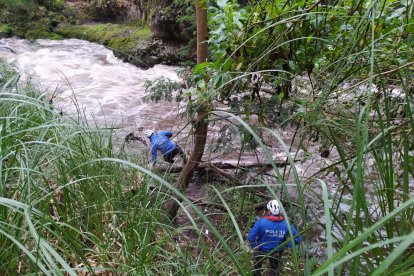 Socorristas permanecen en la búsqueda de un hombre de 55 años que cayó al río Carchi.