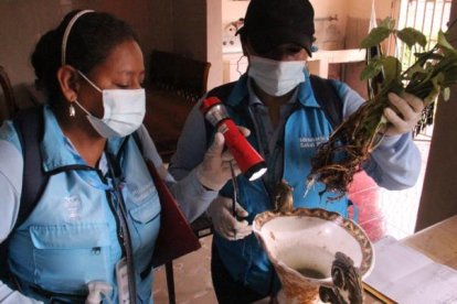 El Ministerio de Salud afirma que personal de la entidad acudió por dos semanas al sector de vía a la Costa y no halló al mosquito portador