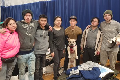 Entre las mascotitas de los compatriotas que retornan hay perros, gatos, un conejo y hasta un hurón.