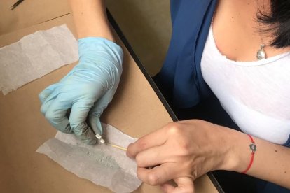 El manejo de las cenizas, la leche materna y cualquier otro producto con que se trabaje se realiza con el mayor cuidado.