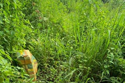 Los paquetes de la droga estaban escondidas en sacos.